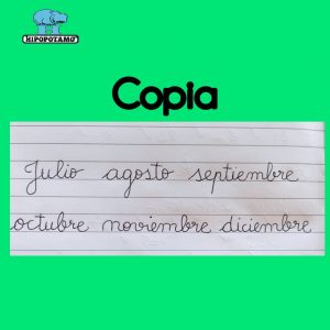 Copia V