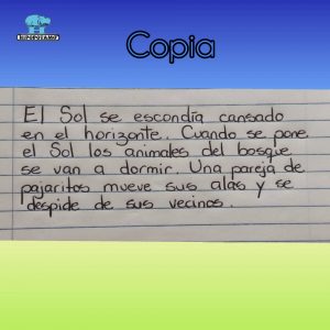 Copia V